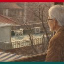 서재 흰둥이네 이미지