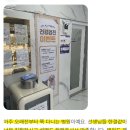 반월동물병원 | 반월동물병원, 강아지 홍역 의심될 때 바로 와야 하는 이유