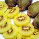 골든스푼 이미지