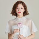 마샬헤어라인 이미지
