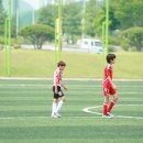 충주중앙초등학교 Daum카페
