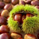 J휘트니스 이미지