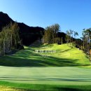 일레븐CC 이미지