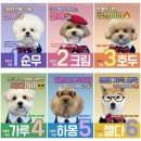 Kindergarten for dog 코리아헤럴드