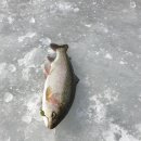 굴운낚시터 이미지