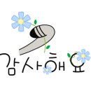 엘리스강 이미지