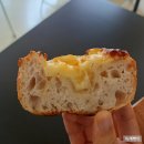 대전 도마동 어반멜로우 | 단골 샌드위치맛집 브리치즈꿀바게트 베이글그릴드치즈