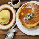 댕글 몽글 이미지