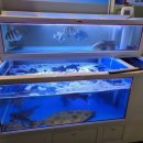 임실셀프회집 이미지