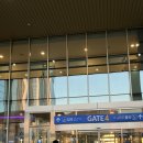 하모니카B반 | 쇼핑하러가는 대마도 당일치기 (씨플라워호 탑승 후기)