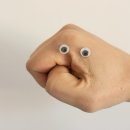 Tree of im 이미지