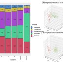 주식회사 클라우드메디 이미지