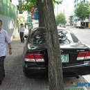 주정차-55 이미지