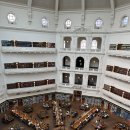 수곡로67번길(2-161) | 혼자서도 가능한 멜버른 시내 도보 투어 가이드