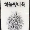 하늘빛다육