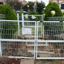 평생 사랑해 줄 개 애견펜션1 이미지