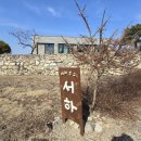 서하 | 티하우스 서하 내돈내산 후기 | 여주 두쫀쿠 맛집