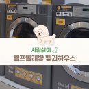 펭귄크리닝 | 셀프빨래방 펭귄하우스 이용후기