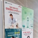 당찬우리동물병원 네이버블로그