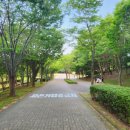 용의발광장 이미지