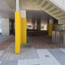 둔촌초등학교 이미지