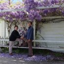 투투모텔 이미지