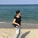 족앤찜 | 겨울에 보는 여름이라고 저장해뒀는데 진짜 여름 되어버림
