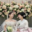 스냅파스텔 이미지