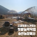 솔안농장 네이버블로그