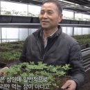 다울농장 이미지