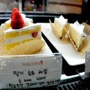 달코마이