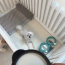 젤리뽀개린이집 이미지