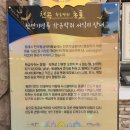 천곡황금박쥐동굴 이미지