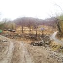 행복나무민박 이미지