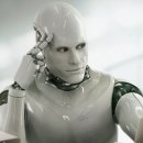 윌트레이딩 이미지