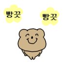 더펫 이미지