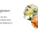 지지바디 이미지