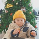 캉골키즈현대대구