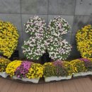 붕어섬1(다리앞) 이미지