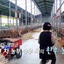 승우농장 이미지