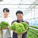 친환경부여농장 이미지