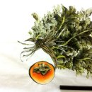 묵형상미술학원 이미지