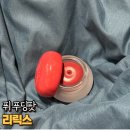 리릭스 | 퓌 푸딩팟 리릭스 발색 및 내돈내산 언박싱 후기