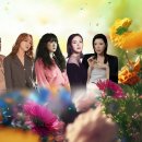 서광리-18 이미지