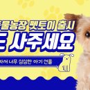 토이농장 이미지