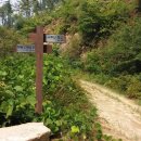 월산3리 이미지