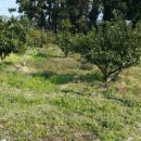 남서마을회관 이미지