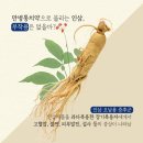 광명인삼 이미지