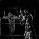 용인대GX복싱 이미지