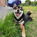 아로미 펜션 이미지